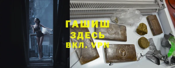 индика Верея