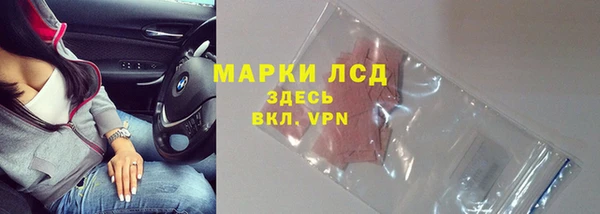 индика Верея