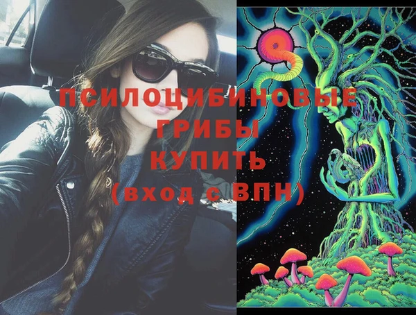 индика Верея
