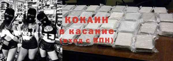 индика Верея