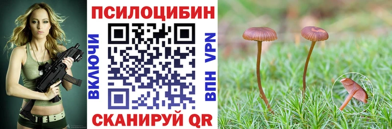 Псилоцибиновые грибы Psilocybine cubensis  Купить  Лангепас 
